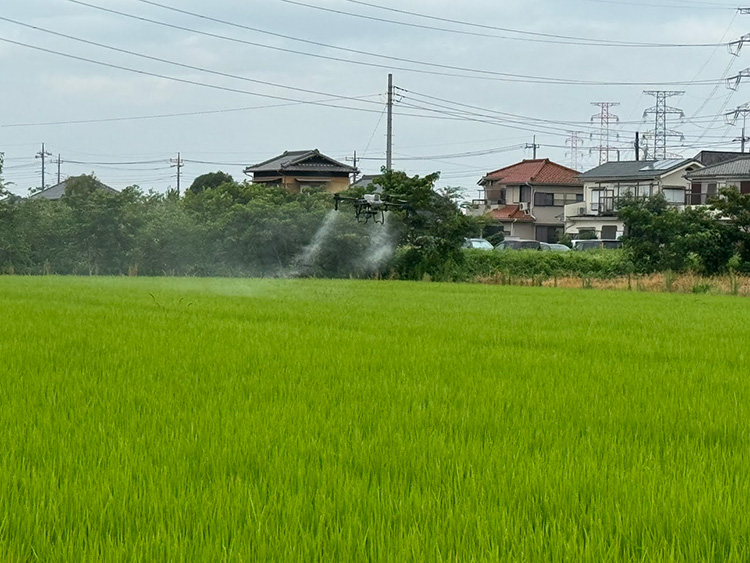 除草剤散布シーン