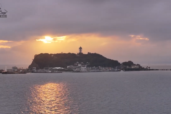 チームハミングバードの空撮会映像を公開しました！